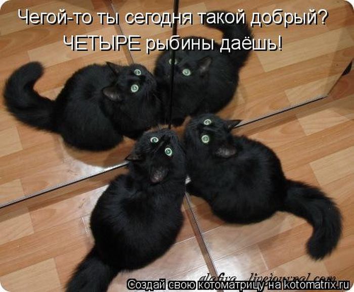 Мысли вслух :)