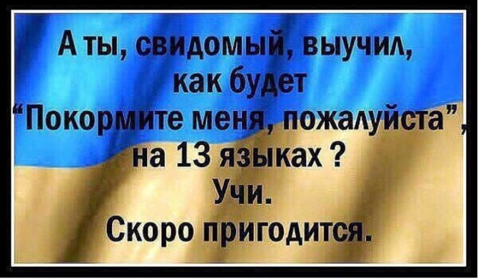 В рядах «свидомых патриотов» начались горькие разочарования В рядах «свидомых патриотов» начались горькие разочарования