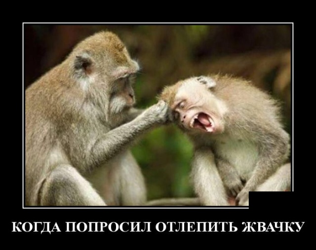 Забавные и новые демотиваторы. 544 ( 30 фото ) Забавные и новые демотиваторы. 544 ( 30 фото )