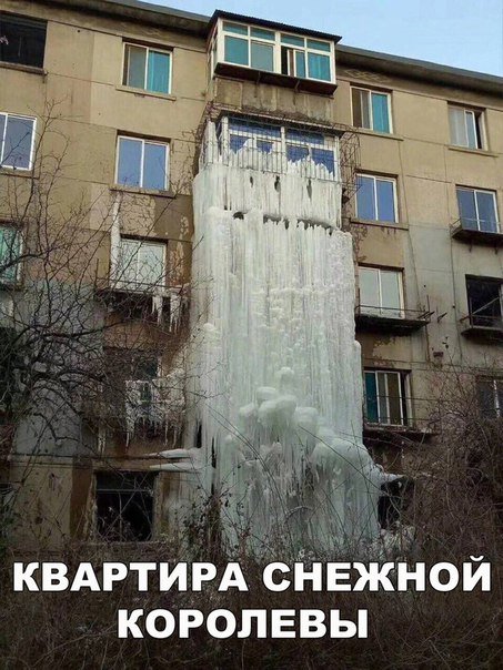 Свежая порция прикольных фотомемов (25 шт) Свежая порция прикольных фотомемов (25 шт)