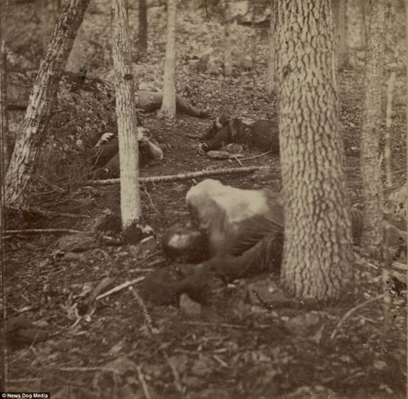 Ужасающие фотографии жертв самой кровопролитной войны в истории США Ужасные фотографии