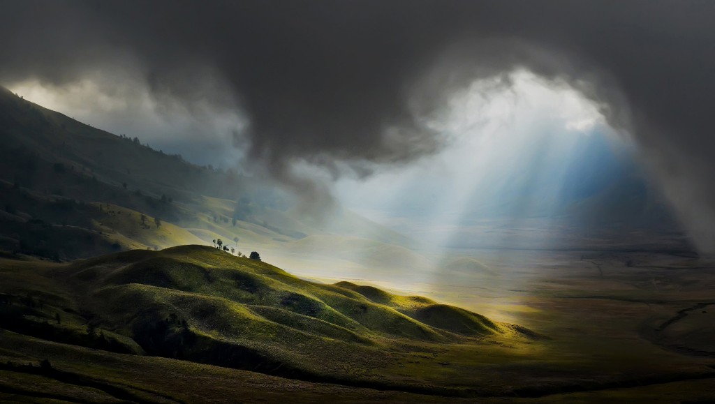 Лучшие фотографии, опубликованные National