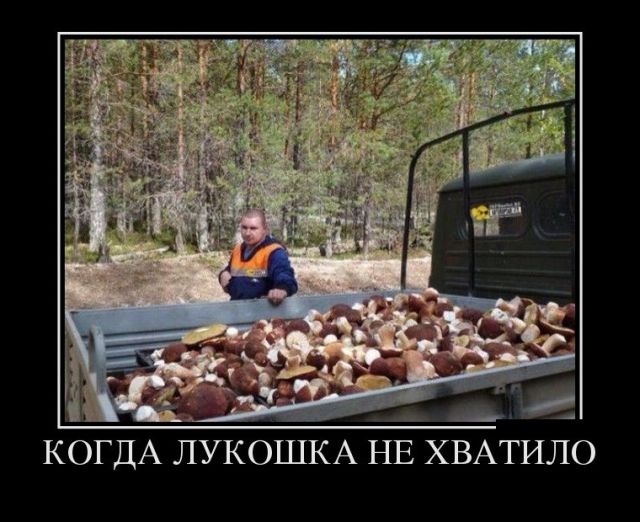 Забавные и веселые демотиваторы со смыслом (11 фото) Забавные и веселые демотиваторы со смыслом (11 фото)