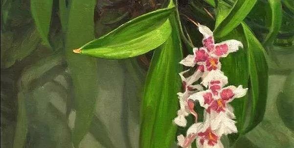 Орхидеи в творчестве художников