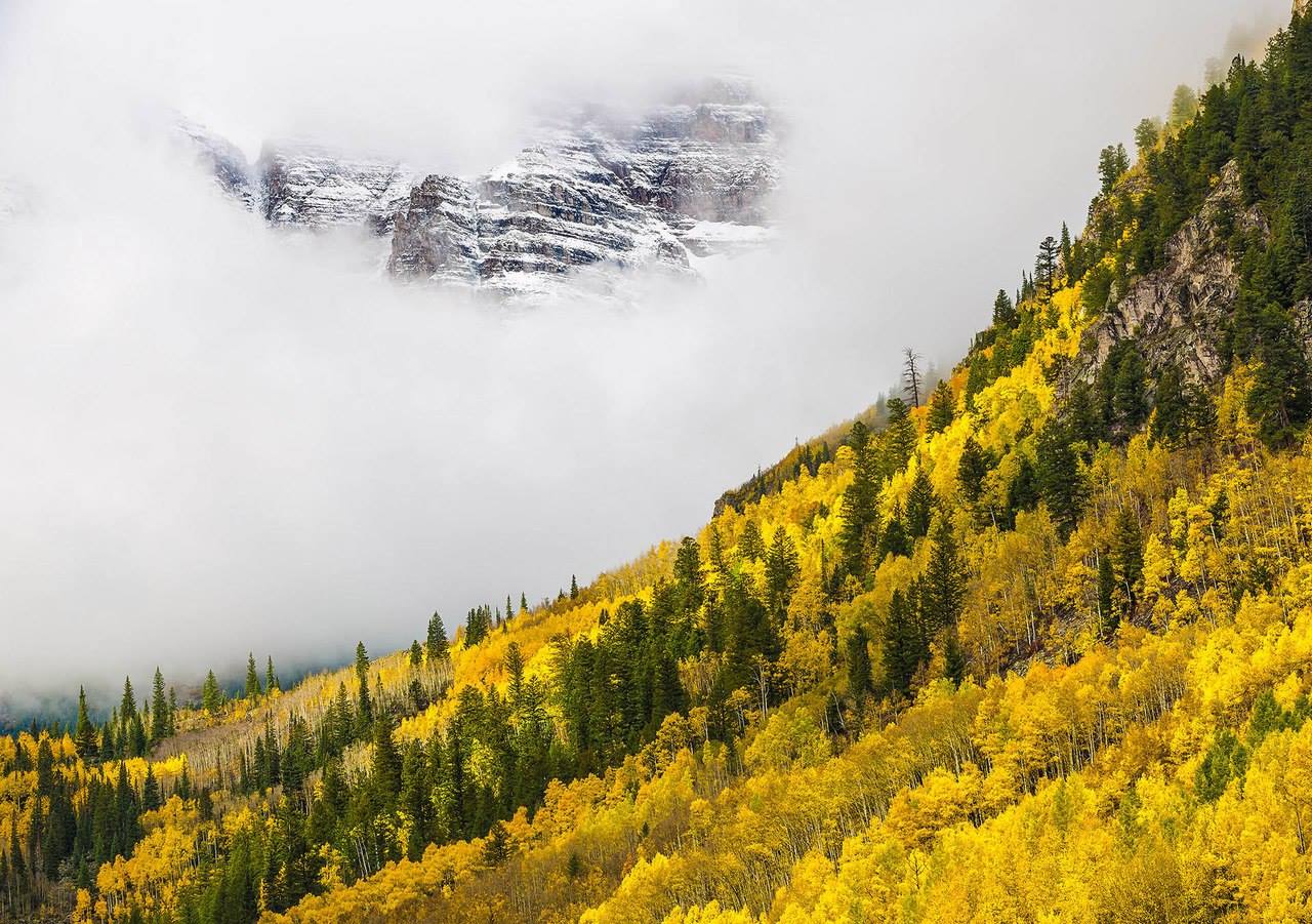 Лучший садово-парковый фотограф в конкурсе International Garden Photographer of the Year 2018