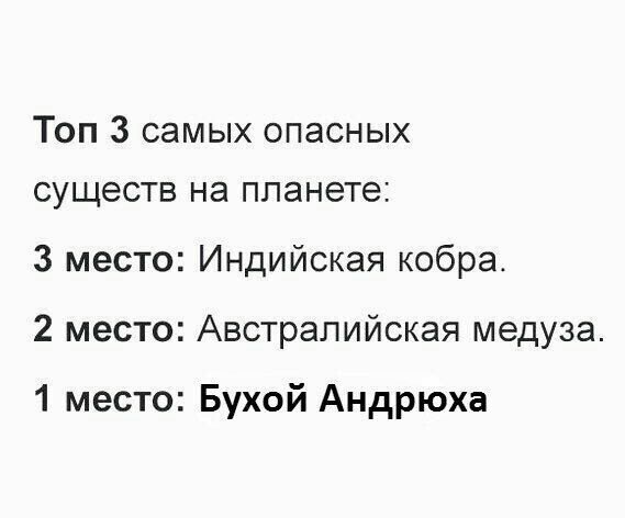 Сделай доброе дело: накорми бездомного, приюти котёнка, поделись постом с Андреем Андрей - всему голова
(18 фото)