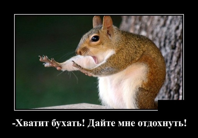 Демотиваторы Демотиваторы