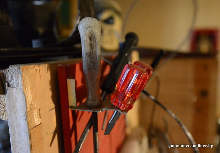 механизм, насекомые, мастер