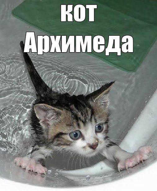 Коты ученых кот, ученые