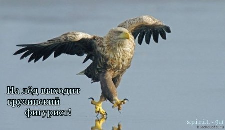 Цитаты, милые цитаты...