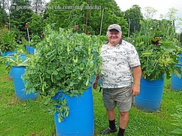 Моя уютная дача и огород Моя уютная дача и огород