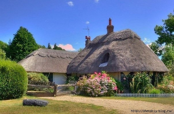 qUkgq2oCuug (604x396, 174Kb)