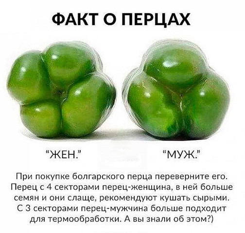 Как правильно выбрать болгарский перец