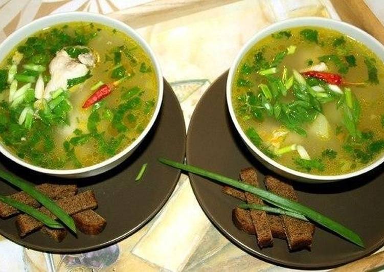 ÐÑоÑÑой кÑÑинÑй ÑÑпÑик. ÐолезнÑй бÑлÑонÑик recipe main photo