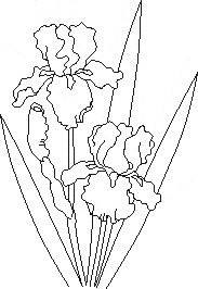 10415547_1590057081229162_7268347295911729088_n