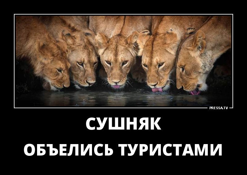 Демотиваторы отличной подборочкой для зарядки позитивом на весь день! Демотиваторы отличной подборочкой для зарядки позитивом на весь день!