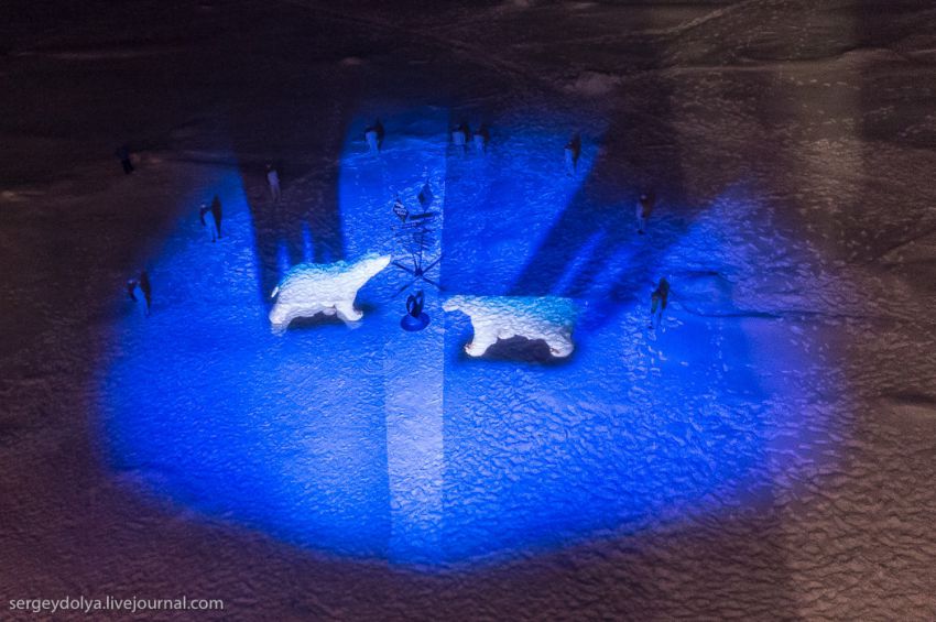 Олимпиада, огонь, факел, Северный Полюс