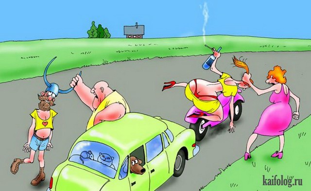 Картинки и карикатуры (45 карикатур) Картинки и карикатуры (45 карикатур)