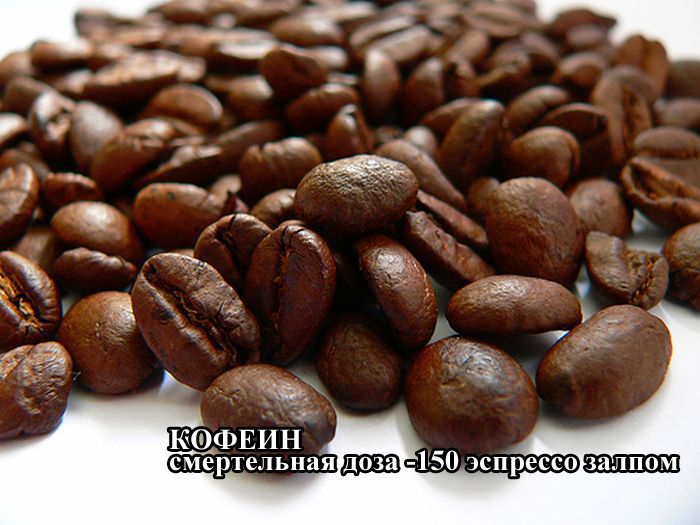 doza-0006