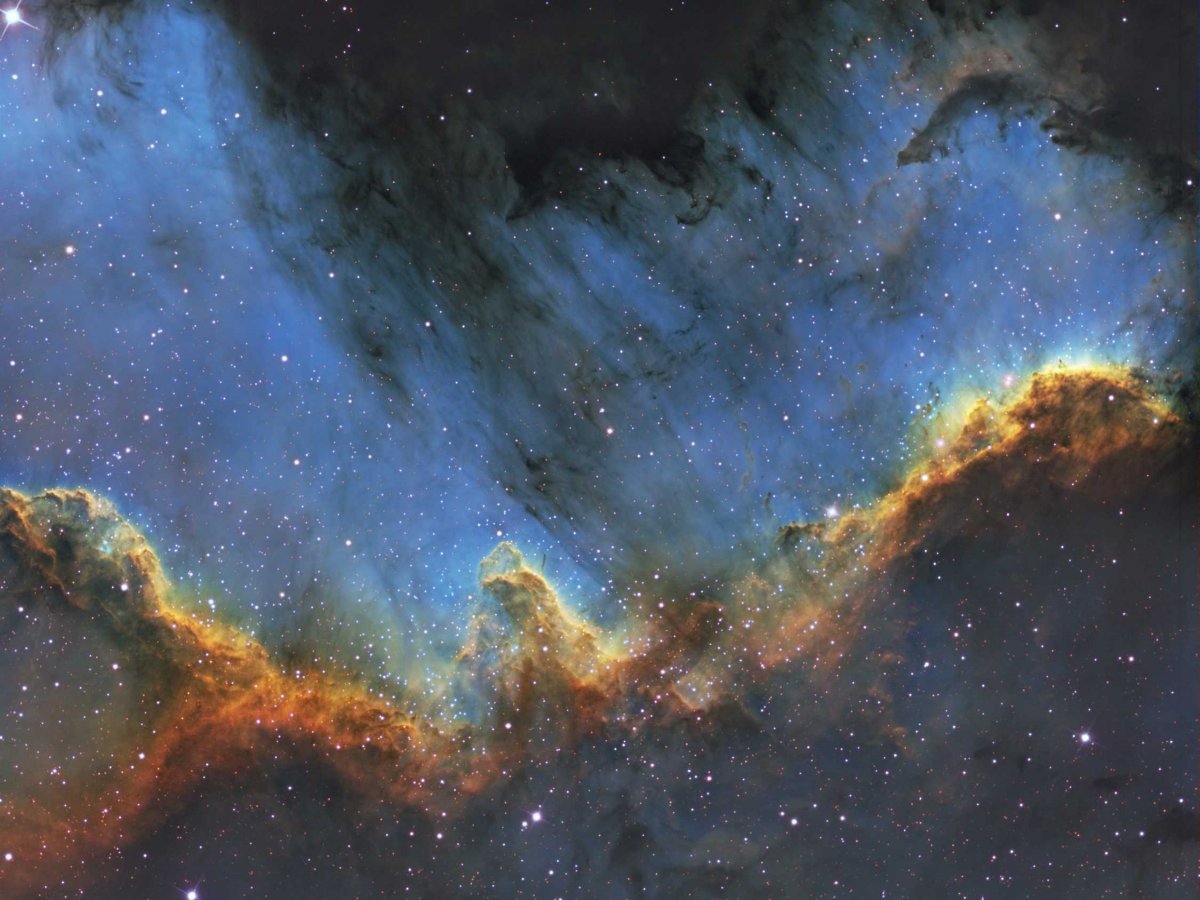 the-cygnus-wall-is-one-of-the-highest-concentrations-of-star-formations-in-the-north-american-nebula-its-located-approximately-1800-light-years-away-from-earth-this-picture-was-taken-by-veteran-astrophotographer