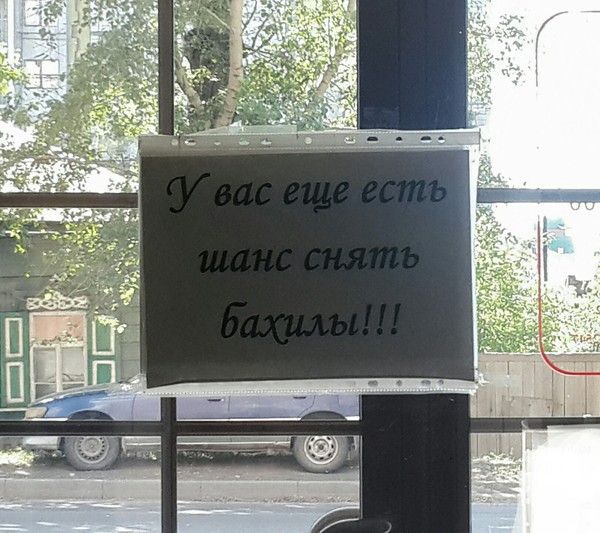 Прикольные картинки и фото приколы для настроения (11 фото) Прикольные картинки и фото приколы для настроения (11 фото)