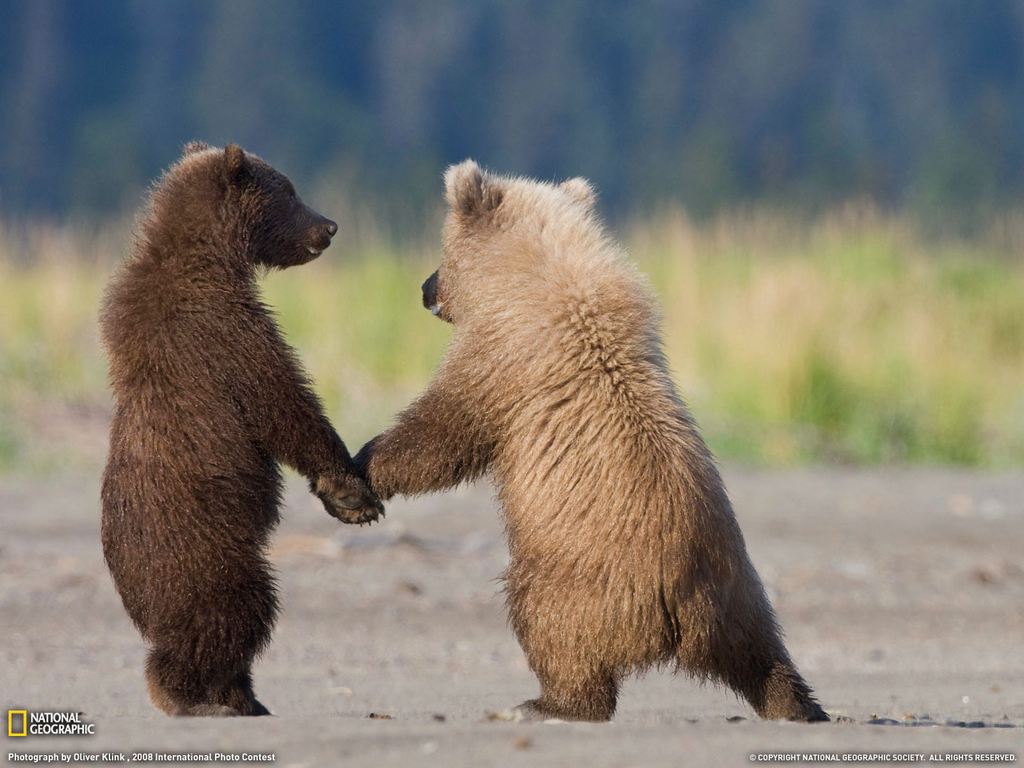    National Geographic