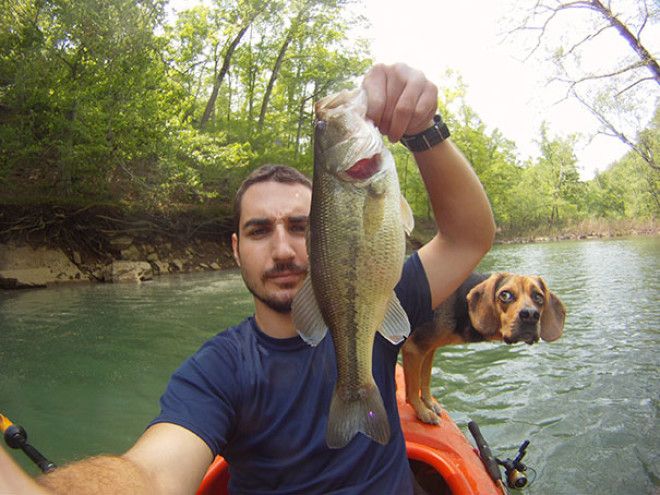 Funny Dog Photobombs Funny Dog Photobombs