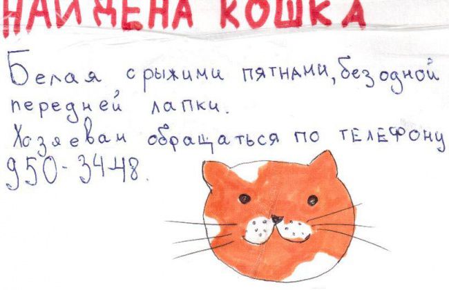 Самые теплые объявления и вывески (15 фото) Самые теплые объявления и вывески (15 фото)