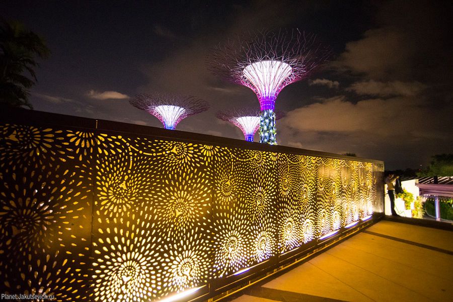 Сады у залива в Сингапуре – Gardens by the Bay