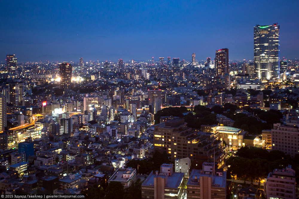 Упорядоченный хаос и ночь в Токио