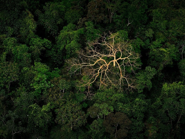 учшие фотографии от National Geographic за февраль 2013 года