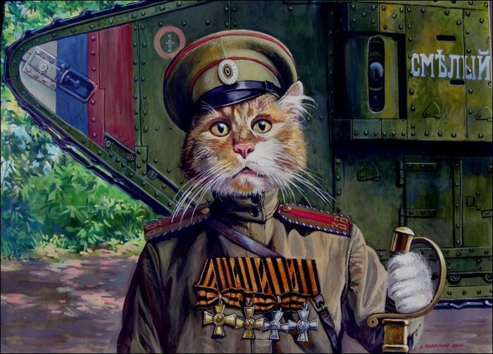 Полный кавалер (кот Тимоша). Автор: Александр Завалий. Полный кавалер (кот Тимоша). Автор: Александр Завалий.