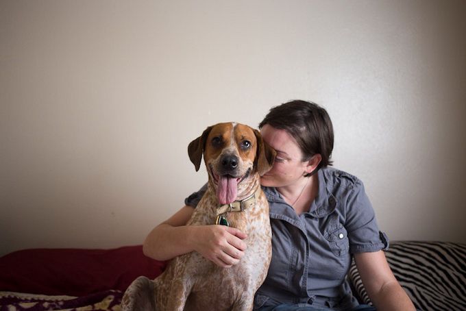 животные, отношения, люди, приют