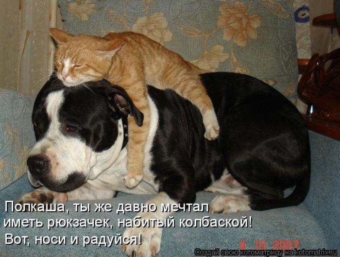 Мысли вслух :)