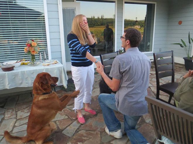 Funny Dog Photobombs Funny Dog Photobombs