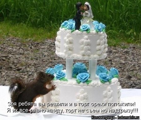 котомашечки от Лисицы))
