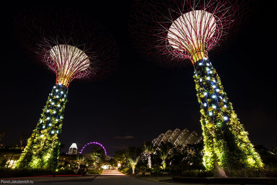 Сады у залива в Сингапуре – Gardens by the Bay