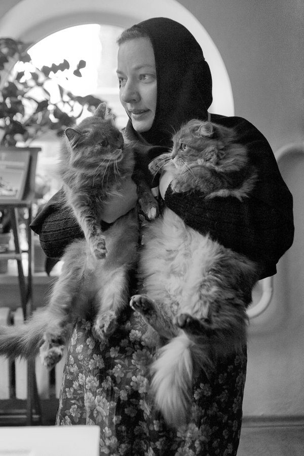 Монастырские коты Монастырские коты