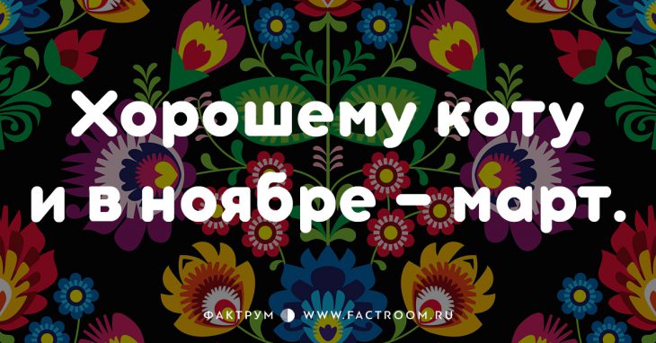 20 смешных современных поговорок, которых вы ещё не слышали 20 смешных современных поговорок, которых вы ещё не слышали