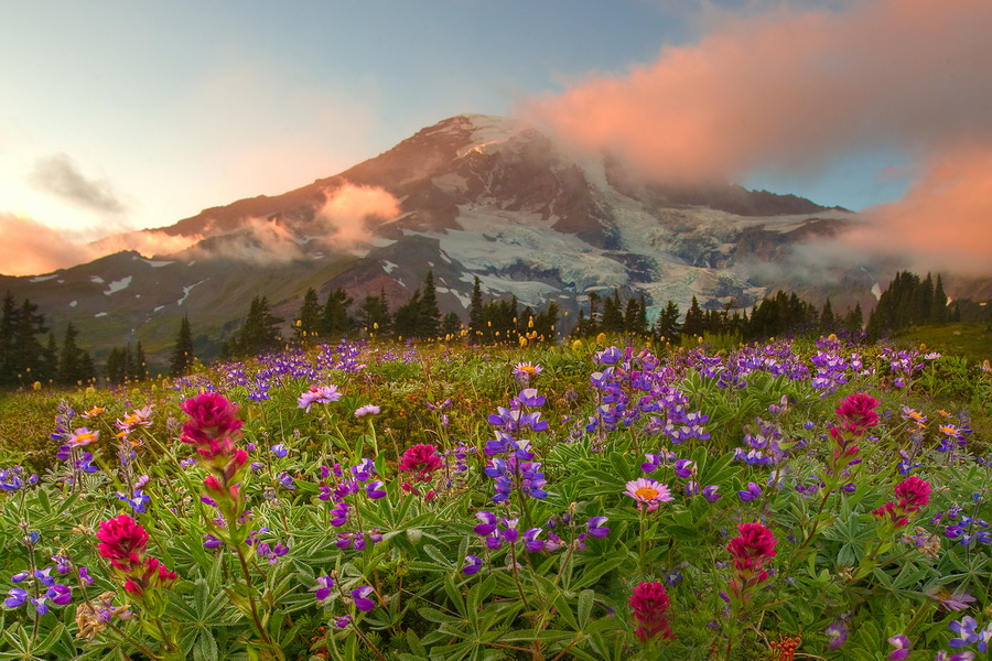 NewPix.ru -   - (Mount Rainier National Park) .  Kevin McNeal