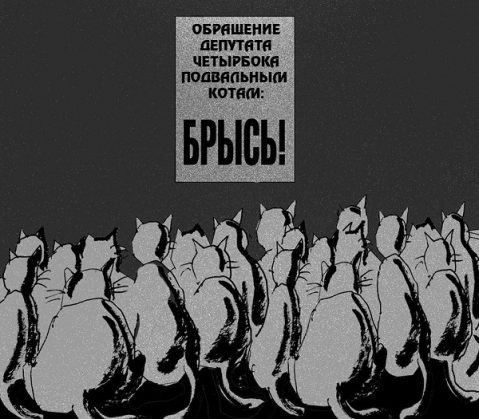 Петербургский депутат предложил запретить котам жить в подвалах и парадных