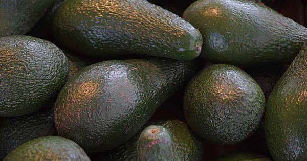 thumb-600x315
