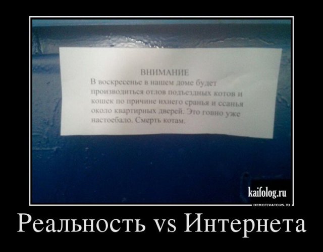 Русские демотиваторы (45 фото)