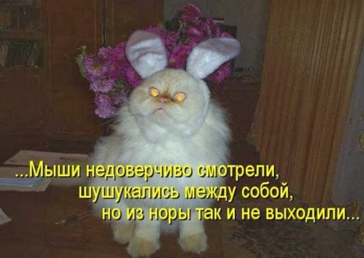 be329236c7a98ea54b3273b52e2_prev