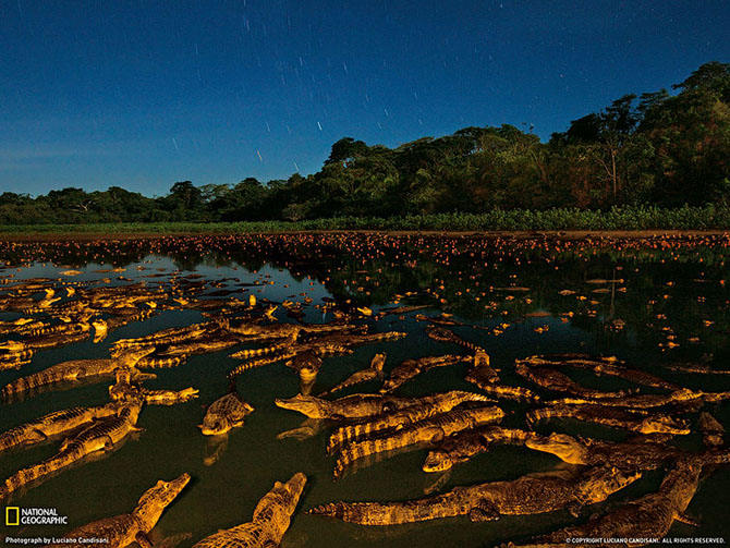 National Geographic: лучшие фотографии июля