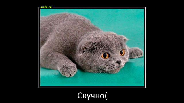 20 объявлений, которые не дадут скучать!