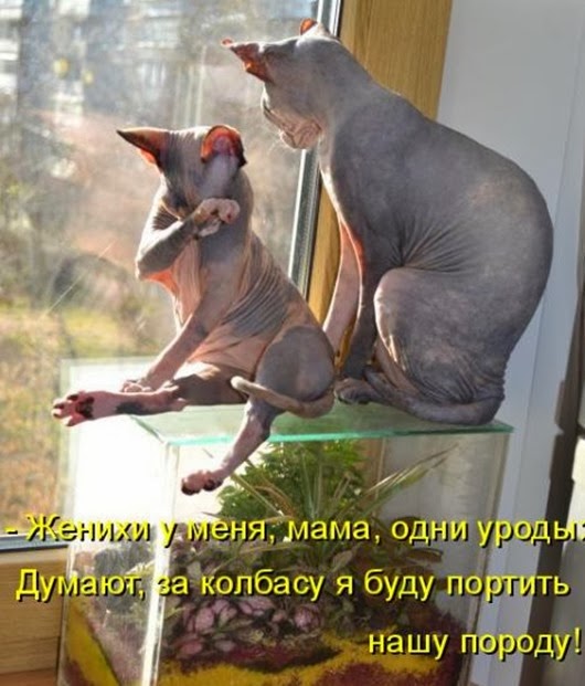 f69518a03cc98cbf80a6eecd84c