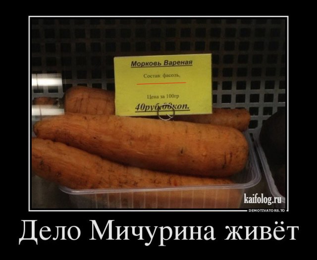 Русские демотиваторы (45 фото)