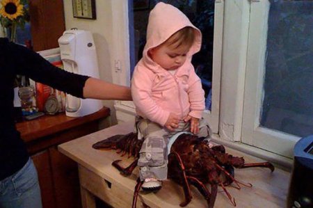 Это деньги всегда заканчиваются, картинки есть всегда =Ъ