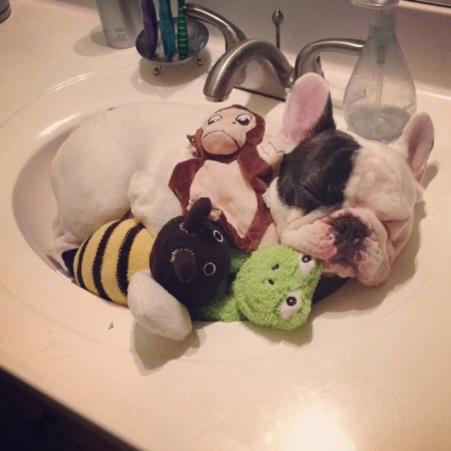 Милота года......Самые добрые и теплые события года, которые умиляют до глубины души.